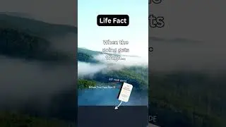 Life Lessons & Facts | Deep & Motivational Insights #shorts #explore #viral