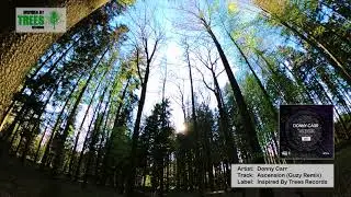 Donny Carr - Ascension (Guzy Remix)