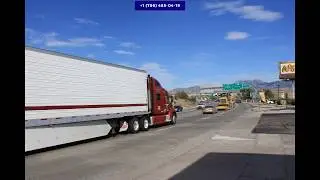 Choose moving companies that will move you out of state