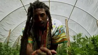 Madgesdiq - Weed, Politics and Chicks (OFFICIAL MUSIC VIDEO)