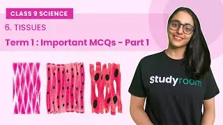 Important MCQs - Part 1 | Tissues | Class 9 Science | Chapter 6 | Biology - NCERT CBSE