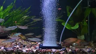 hygger Non-Clogging Fish Tank Bubbler, Aquarium Air Stone------HG 093
