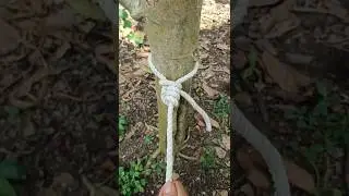 incredible slip knot! 🤔
