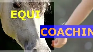 Equicoaching c'est quoi ?