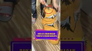 Buka celengan macan ternyata segini hasilnya ❗ #videoviral