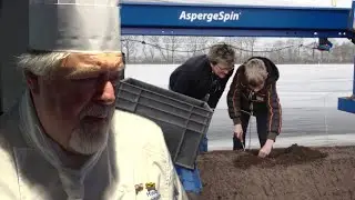 Oogst van Asperges met nieuwe machine