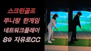 주말엔 스크린골프 자유로cc 쭈니굿샷 써니굿샷 #골프 #golf #golfswing #연습 #sg골프세종시청 #골프스윙 #코킹 #힐링 #드라이버 #아이언스윙 #백색소음 #골프존 