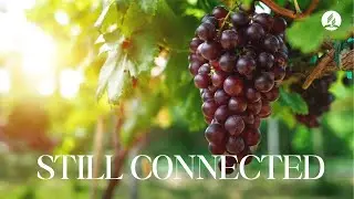 &ldquo;Still Connected&rdquo; - Pastor Ardison Bernardo - Jan 3, 2026