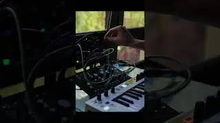 meditation #5 // dawless #modular #jam on #makenoise #o-coast #strega