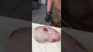 Transforming Lamb Leg into Culinary Art by The Silver Fox Butcher