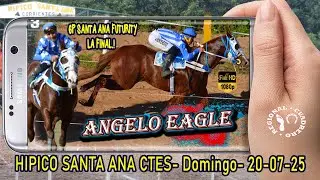 ANGELO EAGLE- Gp Santa Ana Futurity 