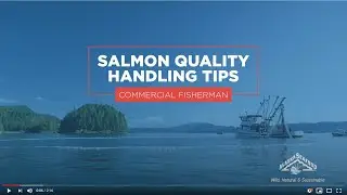 Alaska Salmon Harvesting -- General Quality Handling Guidelines