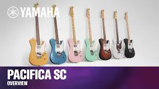 Гитары Pacifica SC Professional и Standard Plus | Обзор