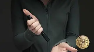ASP Snapshot - Scribe Light