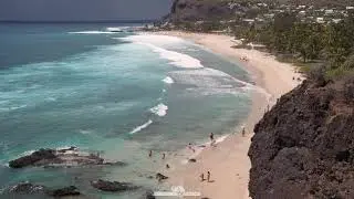 Ile de La R&eacute;union : Sa faune et sa flore - D&eacute;couverte/Tourisme