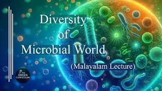 Diversity of Microbial World