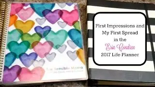First Look At My Erin Condren 2017 Life Planner