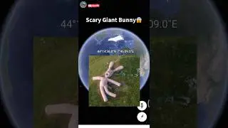 Scary Bunny Found On Google Earth😱 #shorts #scary