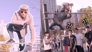 70세 할아버지가 철봉을 날아댕기면 생기는 레전드 반응 ㅋㅋㅋㅋㅋ
