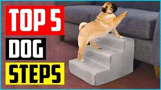 Top 5 Best Dog Steps For High Beds in 2022 Review
