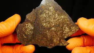 PolandMET Meteorite SAHARA 99477 (124.2 gram)