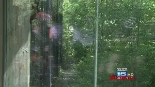 Reaction at Fort Wayne Children's Zoo on Gorilla Killing