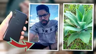 Teste C&acirc;mera: Asus Zenfone Shot Plus (BLACK FRIDAY) Celular Barato 2020/2021