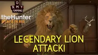 Ormy Gaming theHunter Call Of The  Wild - lvl 9 lion attack -
