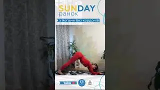 #кошка з модфікаціями #hathayoga для кращого відчуття рук з Людмилою Кравчук #yogis without borders