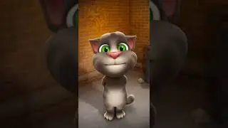 tui kaba j bujbi bol....bengli song#nuw #funnyvideo #tom #oll # short.