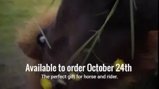 Subscription boxes for horse and rider.