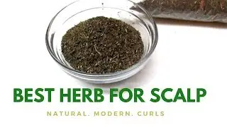 PEPPERMINT LEAVES | HAIR GROWTH - SCALP STIMULANT | DANDRUFF + DRY ITCHY SCALP | HAIR HERBS  SERIES