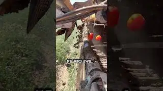 전 세계 1/3 여기서 시작됩니다... 🙄 tt(california agchat)