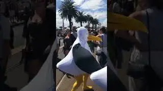 Mine! Mine! Mine! Seagulls want food - 984704