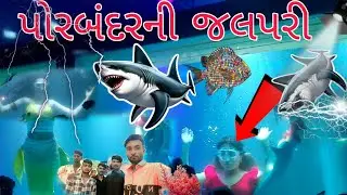 પોરબંદર ની જલપરી#ખતરનાક ફિશ છે#દેશ વિદેશ ની માછલીઓ છે અહીંયા જોવા મળશે#ગુજરાતમાં પહેલી વખત આ વિશે#