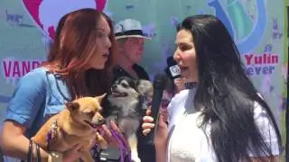 Tenille Houston at World Dog Day 2016