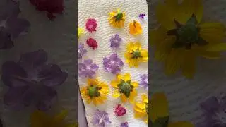Cuando no conseguis flores secas, debes hacerlas 🤭 &iquest;para que las usar&iacute;as?