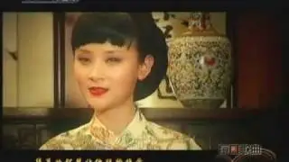 储兰兰 - 中国瓷 Chinese Porcelain