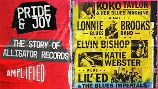Pride And Joy: The Story Of Alligator Records | The 20th Anniversary Concert (HD) | Amplified