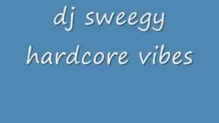 DJ Sweegy Hardcore Vibes 2005