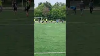 Futsol