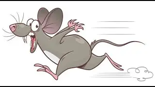 Testing ultrasonic rat repellents : What the experts say, Repeller for rats : Does it really work ?