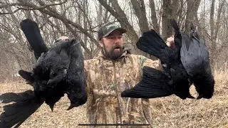 Crow Hunting Opening Day No Decoys Just The E Caller!