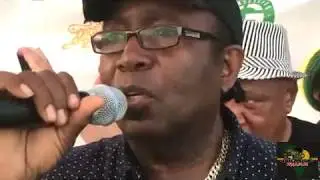 TipperTone HiFi fet Al Campbell Sassafras@Coney Island Reggae On the Boardwalk(8-5-18)