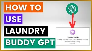 How To Use Laundry Buddy Custom GPT?