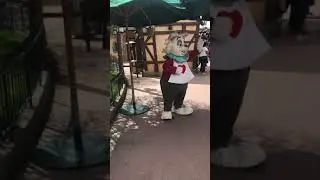 Disneyland Paris 2018 Meeting White Rabbit
