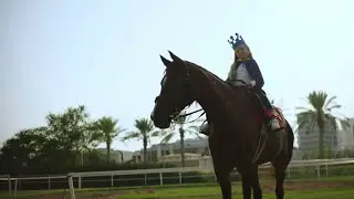 The Stables at DAMAC Hills I DAMAC Properties
