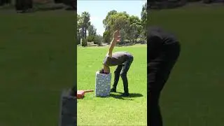 How Different Animals Would Open Christmas Presents 😂 - Part 1