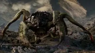 Arachno-Claw Explained
