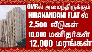 OMR ல் HIRANANDANI FLAT ல் பின்புறம் 12,000 மரங்கள் சின்ன காடாக உள்ளன